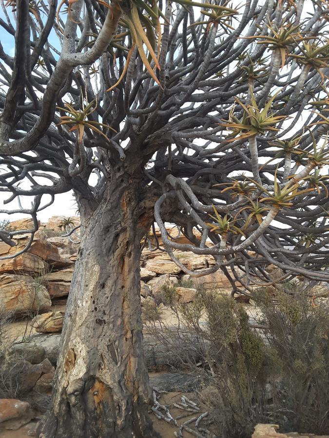 Sperrgebiet Lodge Springbok Luaran gambar