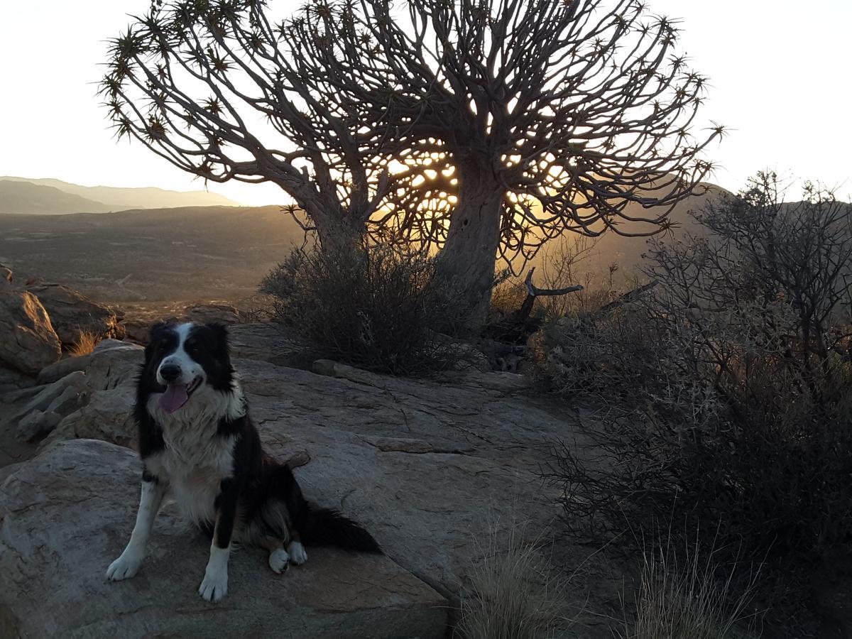 Sperrgebiet Lodge Springbok Luaran gambar