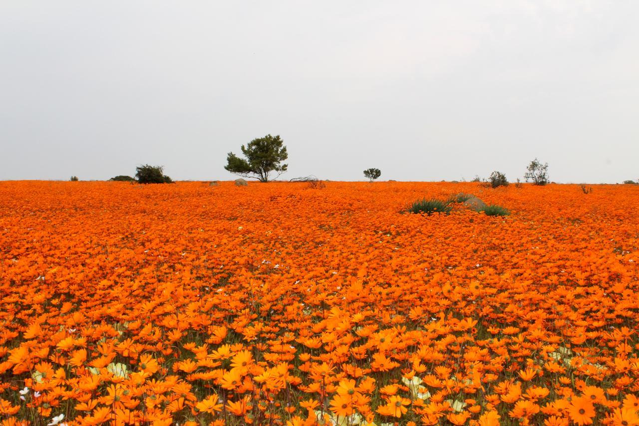 Sperrgebiet Lodge Springbok Luaran gambar